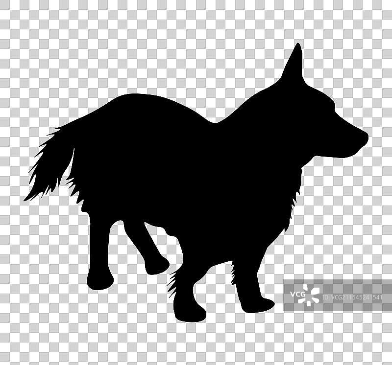 狗宠物剪影图片素材