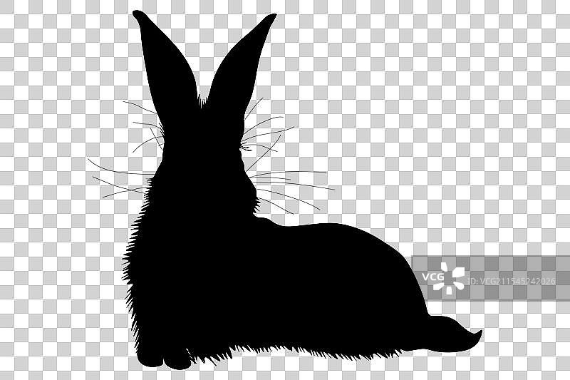 黑色兔子动物剪影图片素材