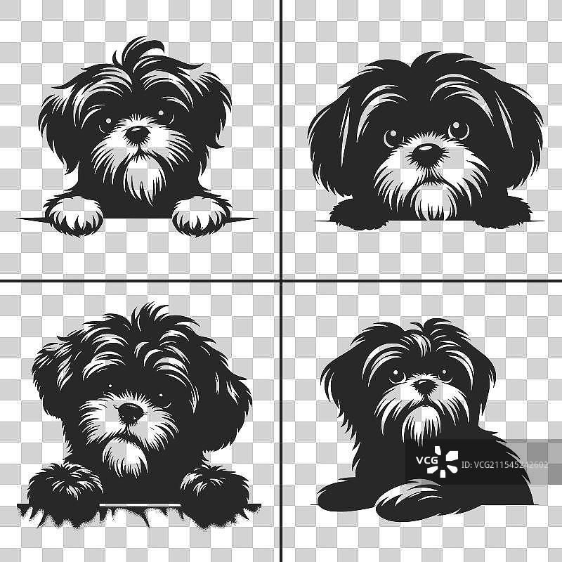 西施犬SVG窥视狗轮廓图片素材