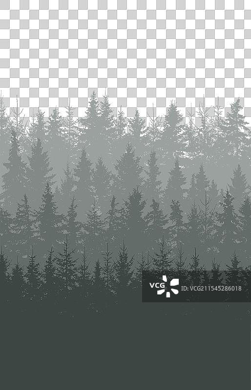 美丽的森林垂直背景风景图片素材