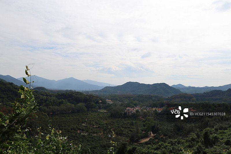 海南三亚大茅山庄，高山云雾，热带雨林图片素材