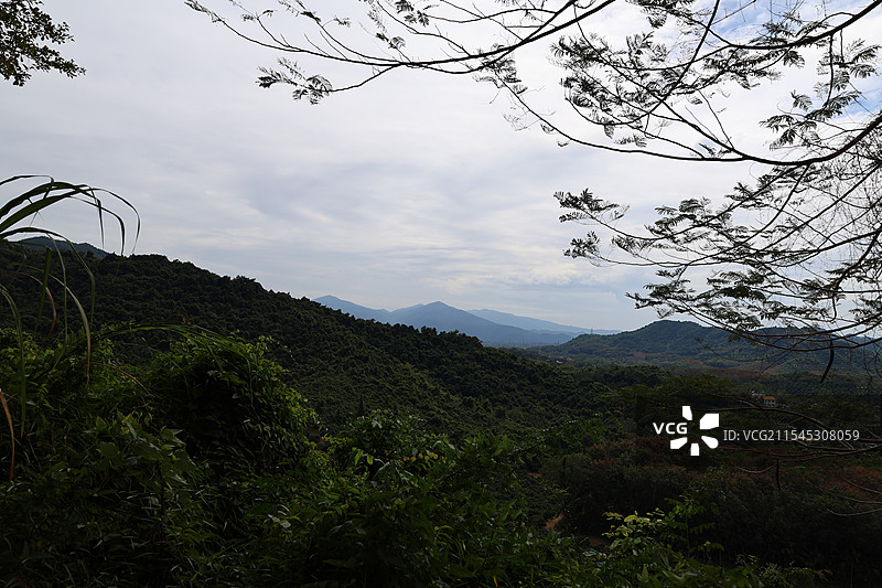 海南三亚大茅山庄，高山云雾，热带雨林图片素材