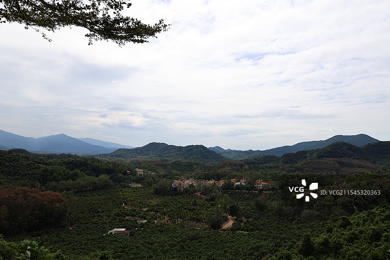 海南三亚大茅山庄，高山云雾，热带雨林图片素材