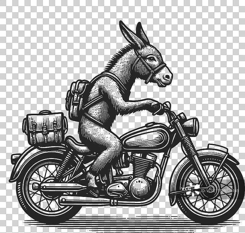 骑摩托车的驴子素描图片素材