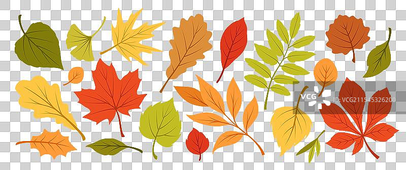 一个包含多种的图片素材