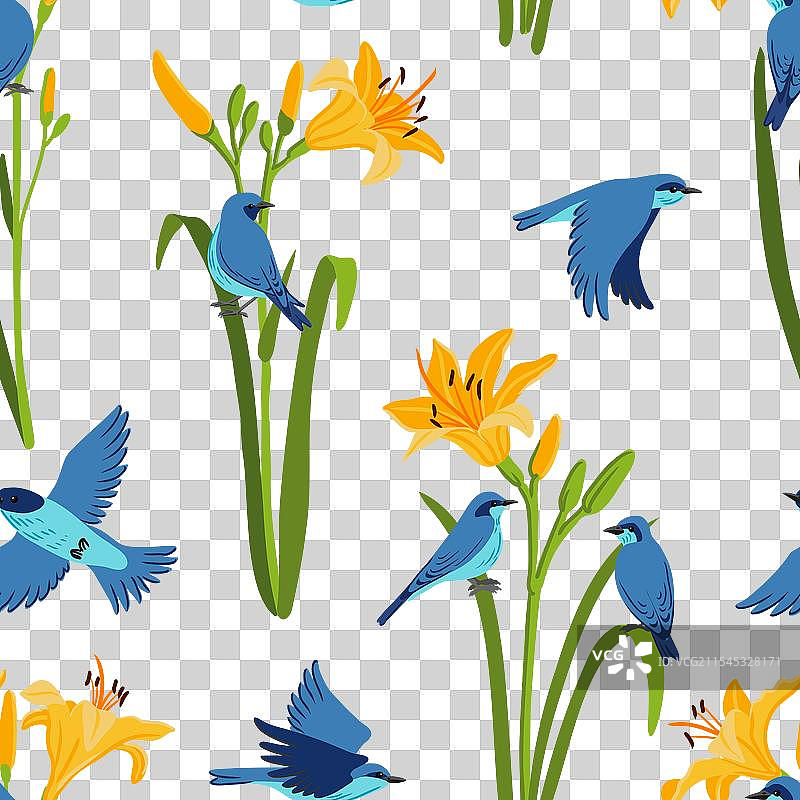 鸟与花的无缝图案图片素材