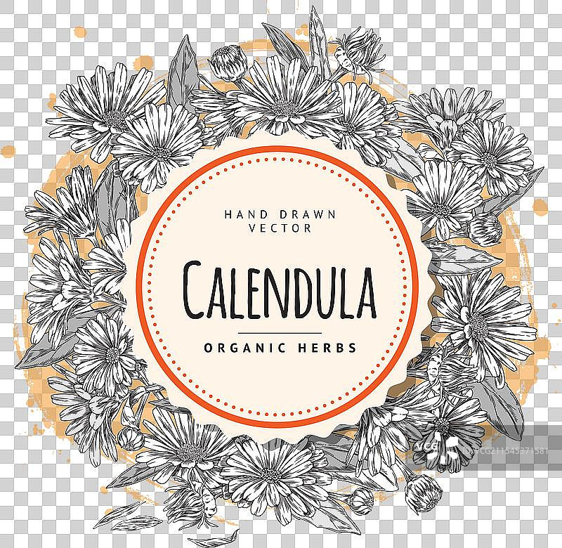 有机金盏花草药圆形图案图片素材