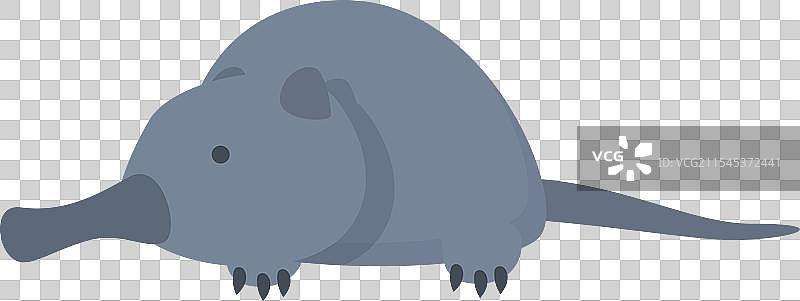 异域的德斯曼图标卡通鼩鼱哺乳动物图片素材