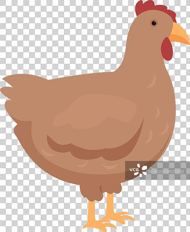 农场鸡图标卡通鸟动物图片素材