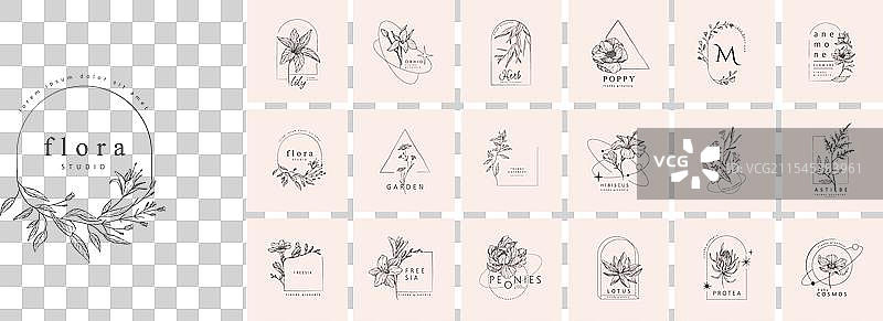 一组简约女性植物花卉框架图片素材