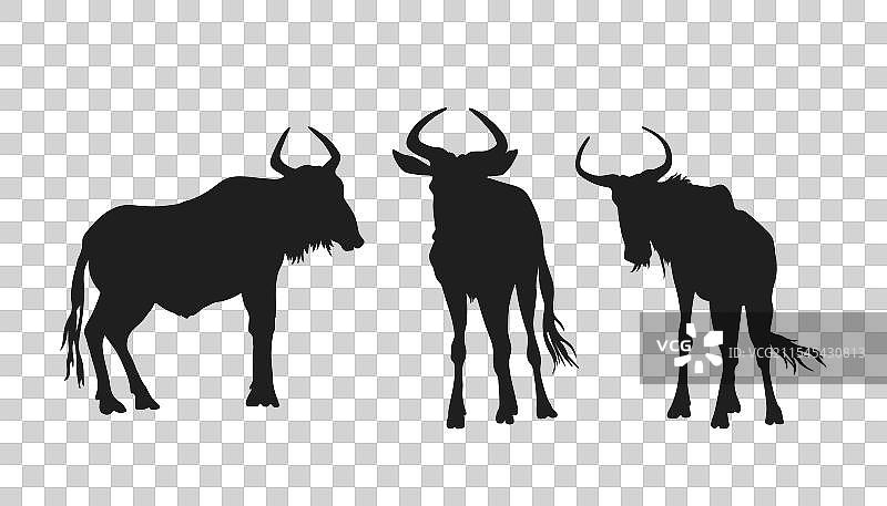 孤立的角马剪影，非洲场景图片素材