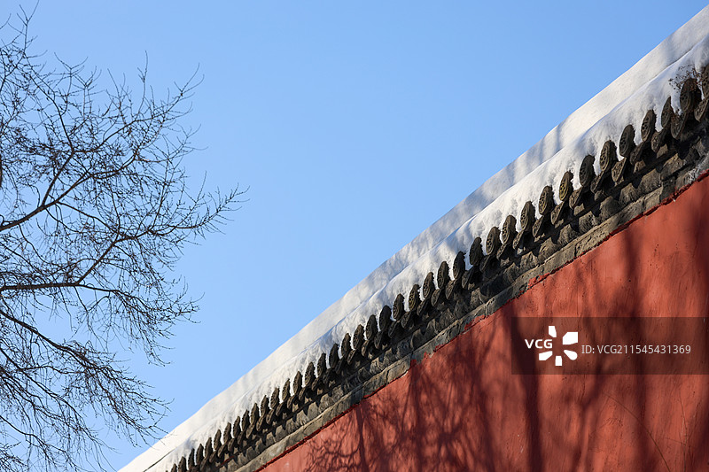 雪后的北陵公园图片素材