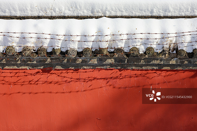 雪后的北陵公园图片素材