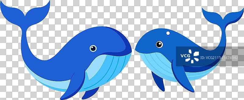 蓝鲸艺术与图片素材