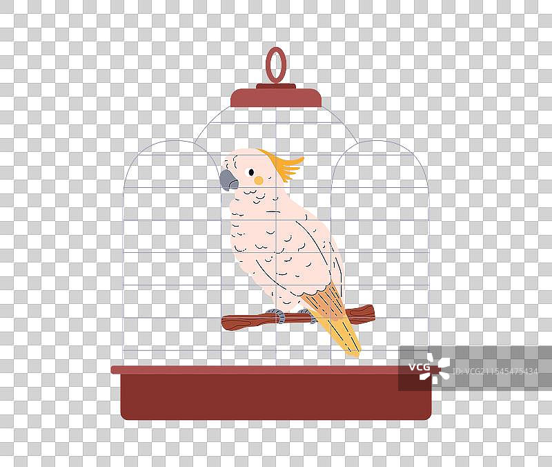 一只坐着的凤头鹦鹉图片素材