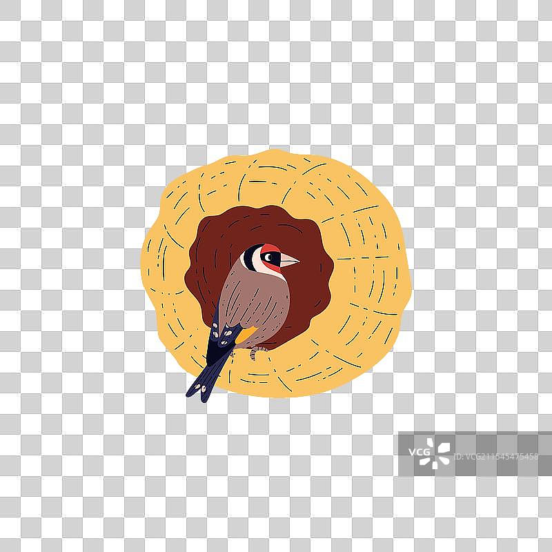 卡通金雀鸟栖息在巢中的茧里图片素材