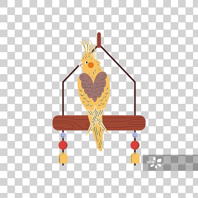 彩色秋鹃鸟坐在悬挂秋千上图片素材