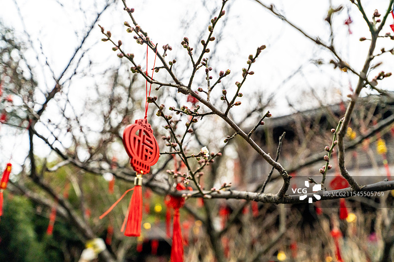 春节将至树枝上挂福图片素材