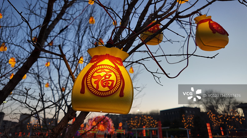 2025年路灯装饰灯展览会图片素材