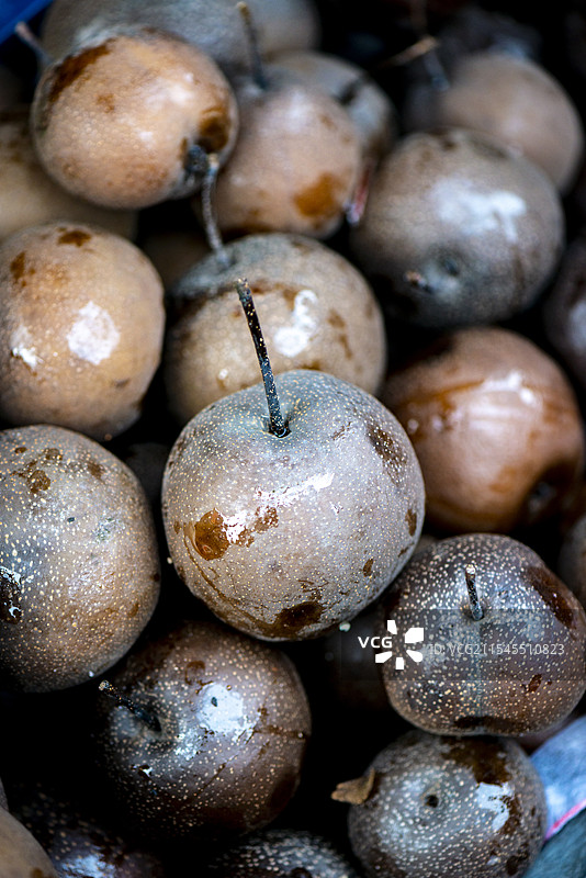 东北冻梨图片素材