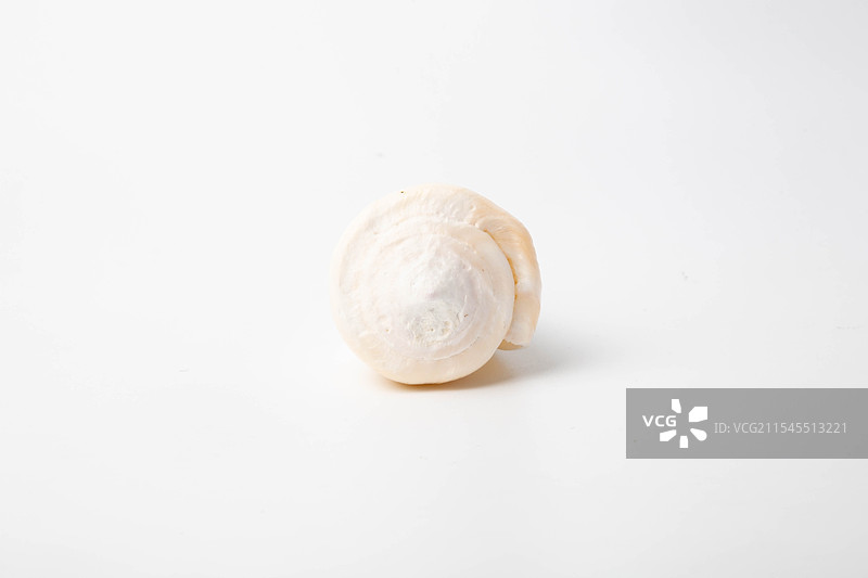 海螺贝壳-芋螺属-玉女芋螺 Conus virgo图片素材