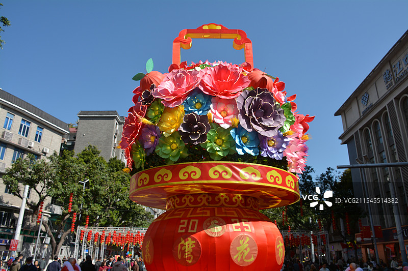 广州荔湾迎春花市蝴蝶兰图片素材