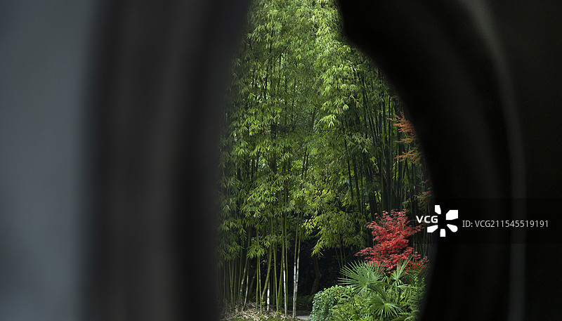 三苏祠竹林图片素材
