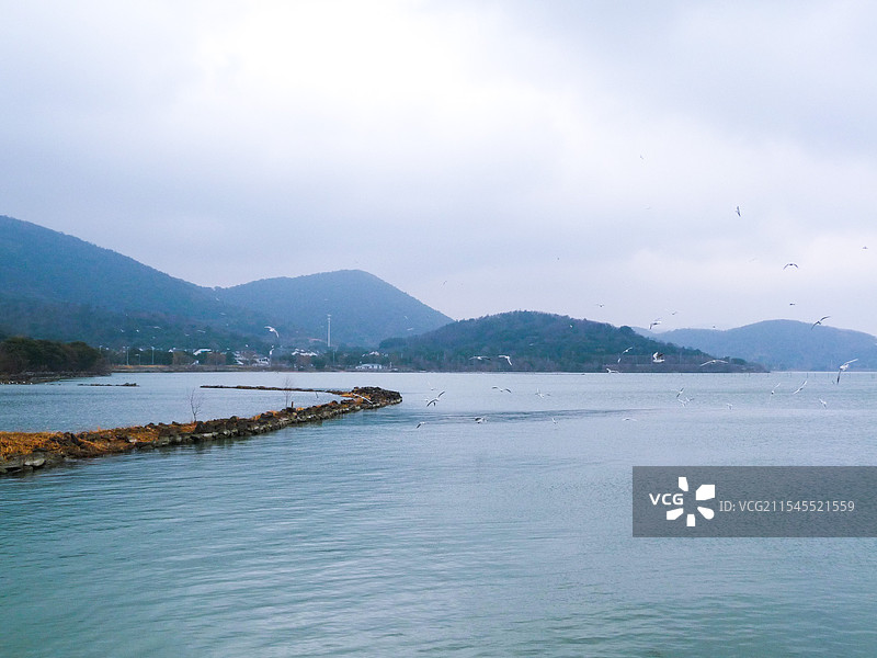 太湖石壁永慧禅寺岸边图片素材