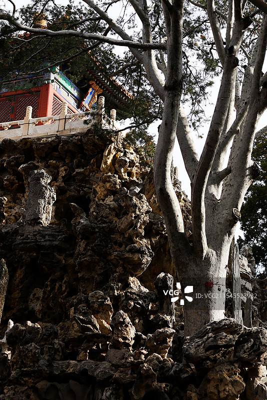 故宫建筑雨花阁宫门午门宫殿屋脊兽白皮松图片素材