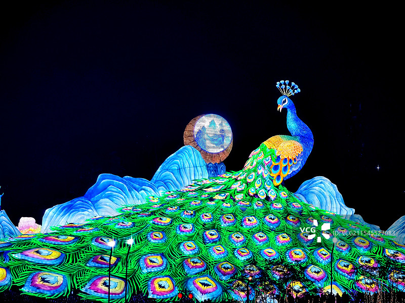 自贡灯会-孔雀合屏图片素材