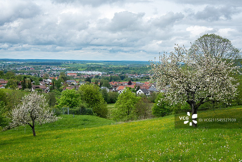 绿色的草原上，天空多云，给整个场景增添了一种宁静的氛围，构成了一幅美丽的自然风光画卷。图片素材
