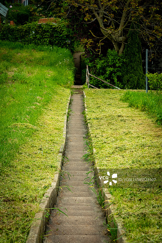 林间小径两旁绿草如茵，宁静而自然。尽头的小门仿佛通往另一个世界，引人探寻。漫步其中，尽享清新与放松。图片素材