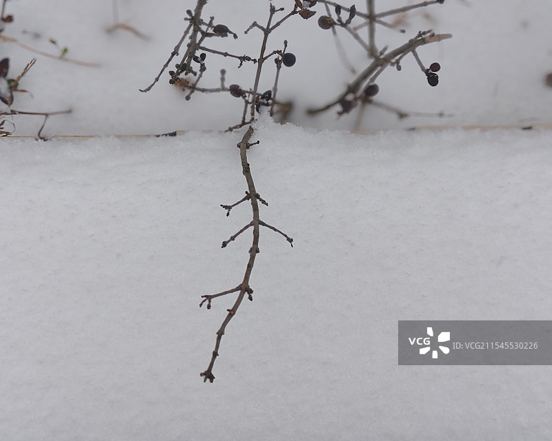 昆明的初雪图片素材