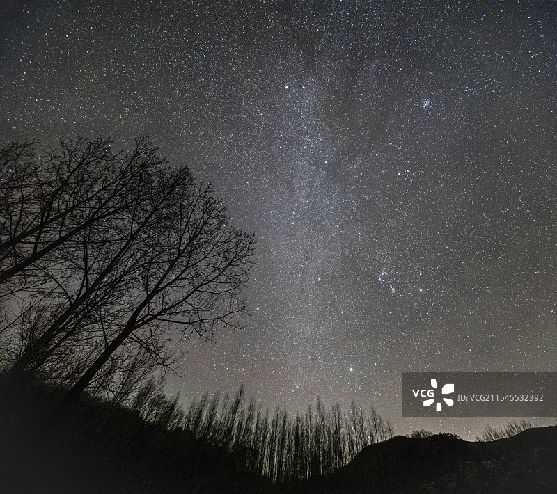 星空与树木剪影图片素材