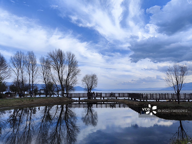 大理洱海的树枝倒影图片素材