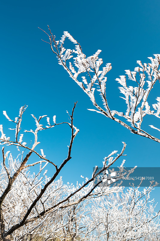 杭州鸬鸟山冬季雾凇图片素材