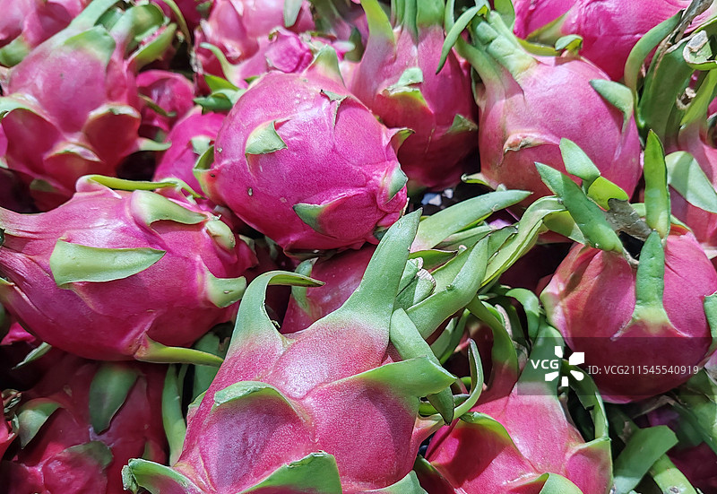 水果 火龙果图片素材