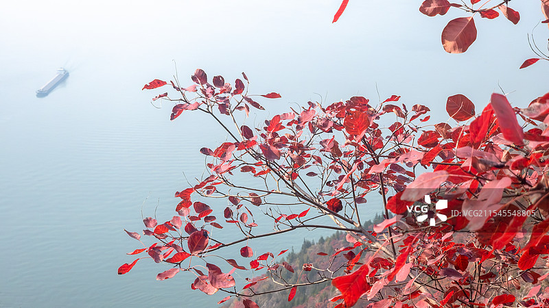 巫山巫峡深秋红叶风景图片素材