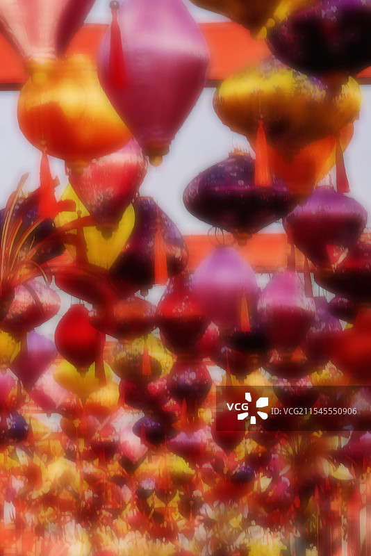 万紫千红总是春图片素材