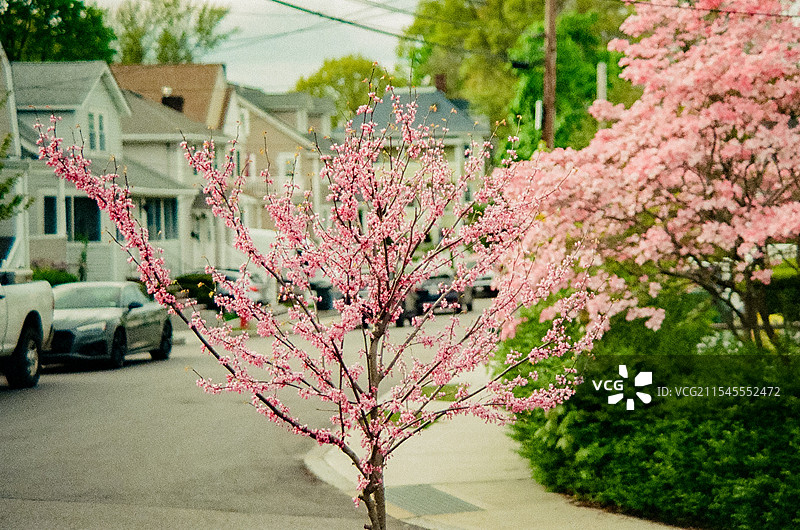 美国马萨诸塞州昆西夏季景色图片素材