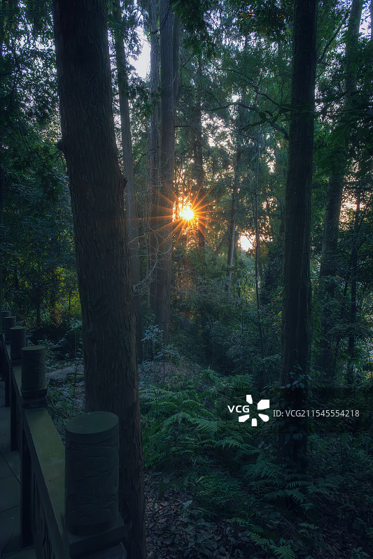 朦胧的青城后山图片素材