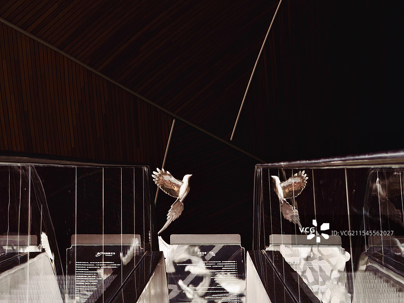 灵羽逸韵图片素材