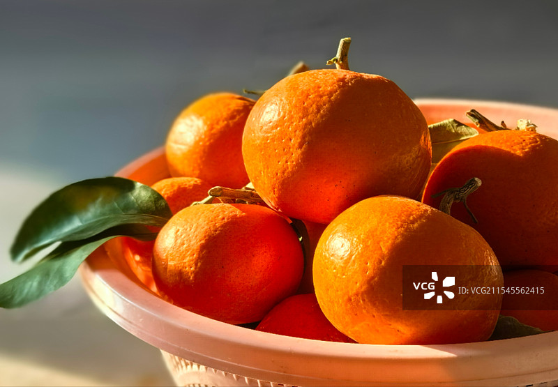 大橘大利图片素材