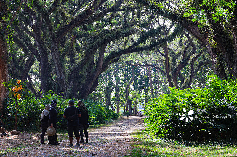印尼东爪哇魔戒森林自然风光图片素材