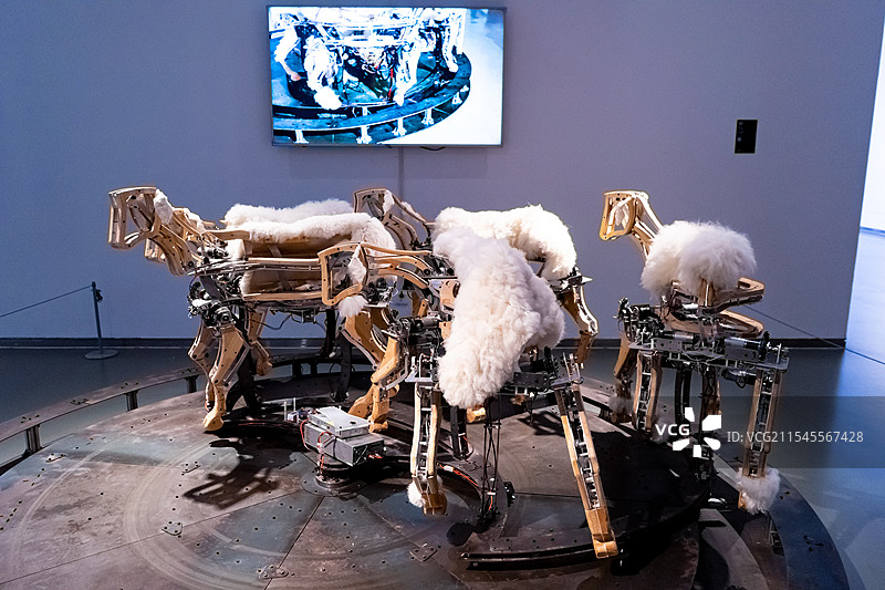 中国艺术文化和娱乐拍摄主题，山东济南美术馆博物馆双年展和羊皮披着机器在行走，室内人图像摄影图片素材