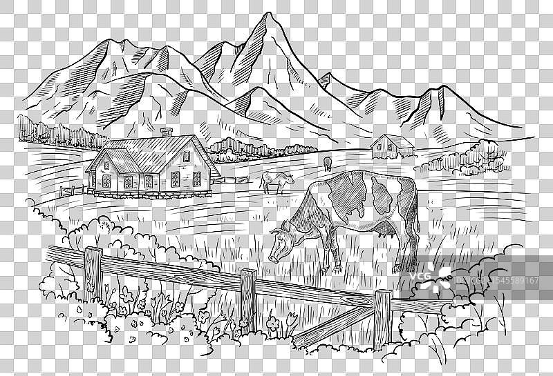 带有牛的乡村风景线条画图片素材