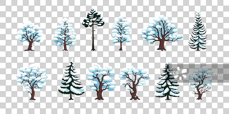 树木 雪 冬季 霜冻 森林 雪覆盖的林地图片素材