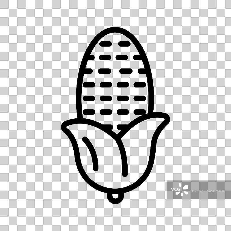 玉米棒图片素材