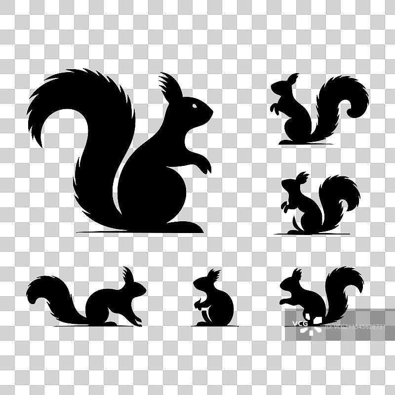 白色背景上的松鼠剪影集图片素材