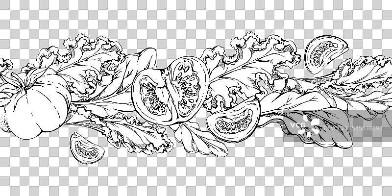 健康的蔬菜和绿色沙拉混合物图片素材